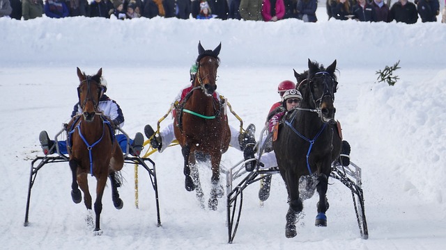 运动员借鉴 运动员借鉴