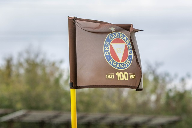 题与挑战 题与挑战