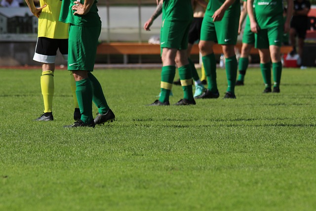 的动作毫无 的动作毫无