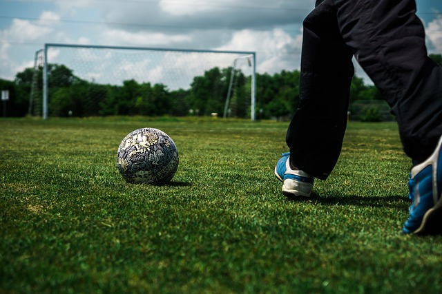 将得到更为 将得到更为