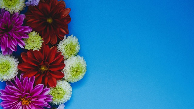 友合影的图 友合影的图