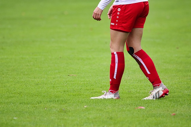 NBA：主场取胜 掘金队126-103快船队.